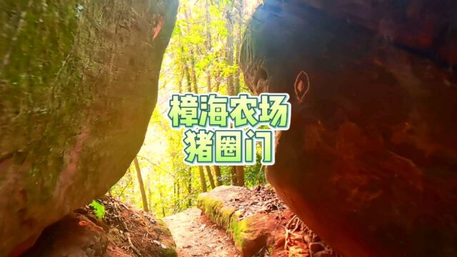 四川农村 三农升哥拍摄高级大片来袭