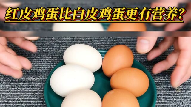 红皮鸡蛋比白皮鸡蛋营养价值更高?