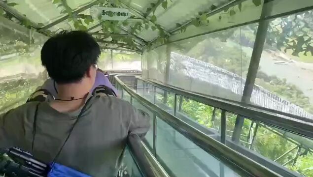 我的西藏旅途故事④番外篇