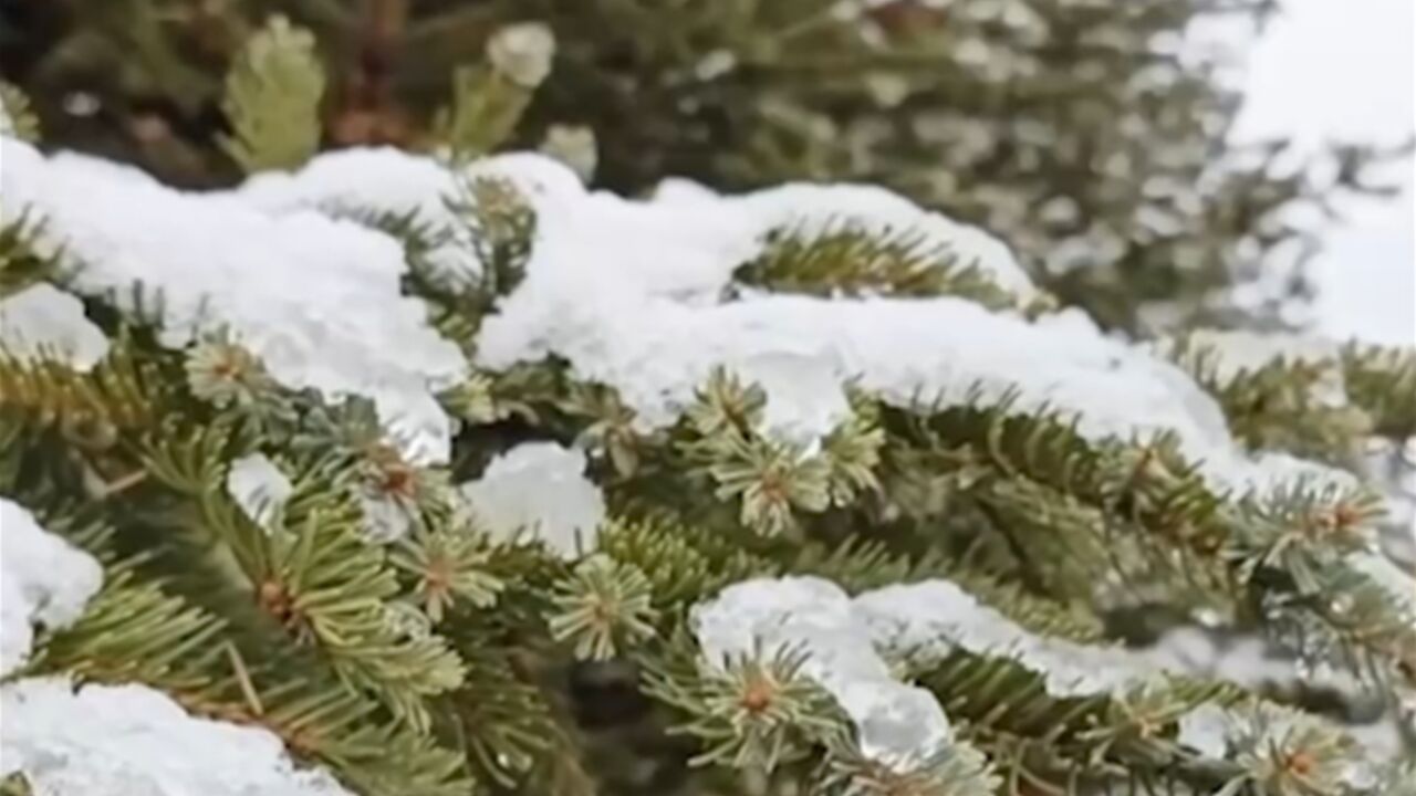 河北北部高海拔地区迎来入秋首场降雪