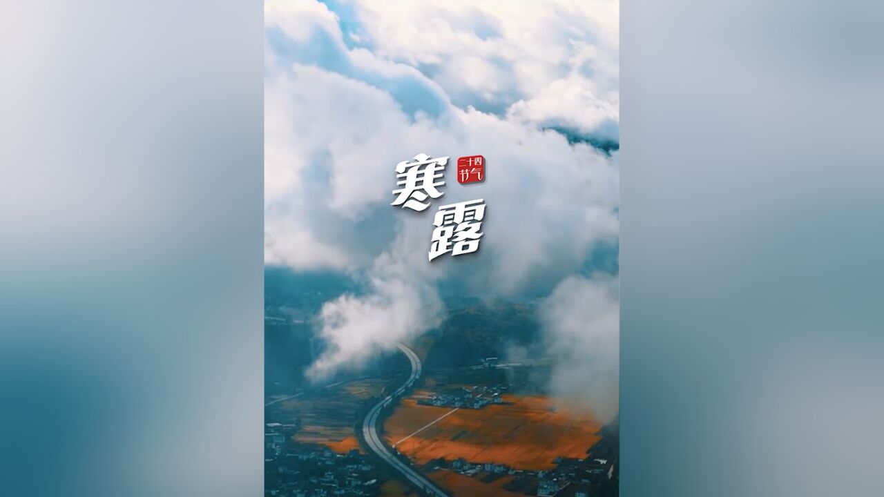 寒露 | 露水盈盈,寒气渐重