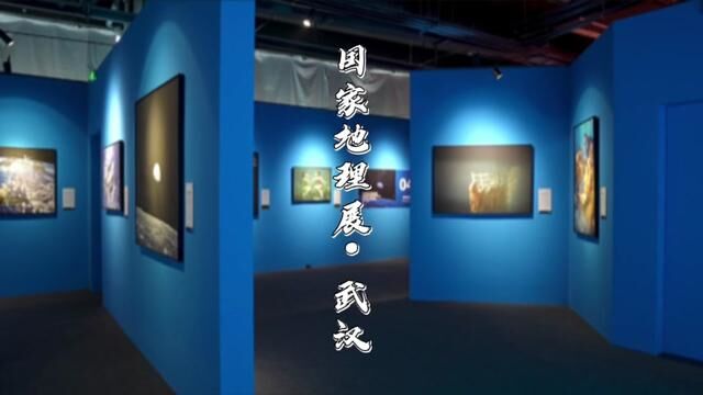 不出武汉看遍全球,快来国家地理展打卡吧#湖北星旅播 #武汉看展好去处 #国家地理经典影像大展