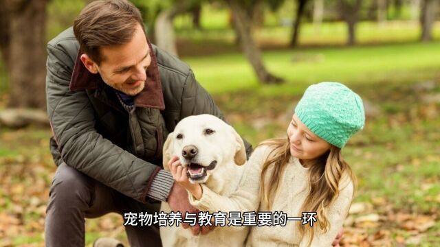 宠物犬伤人事件引发思考:责任与和谐共处