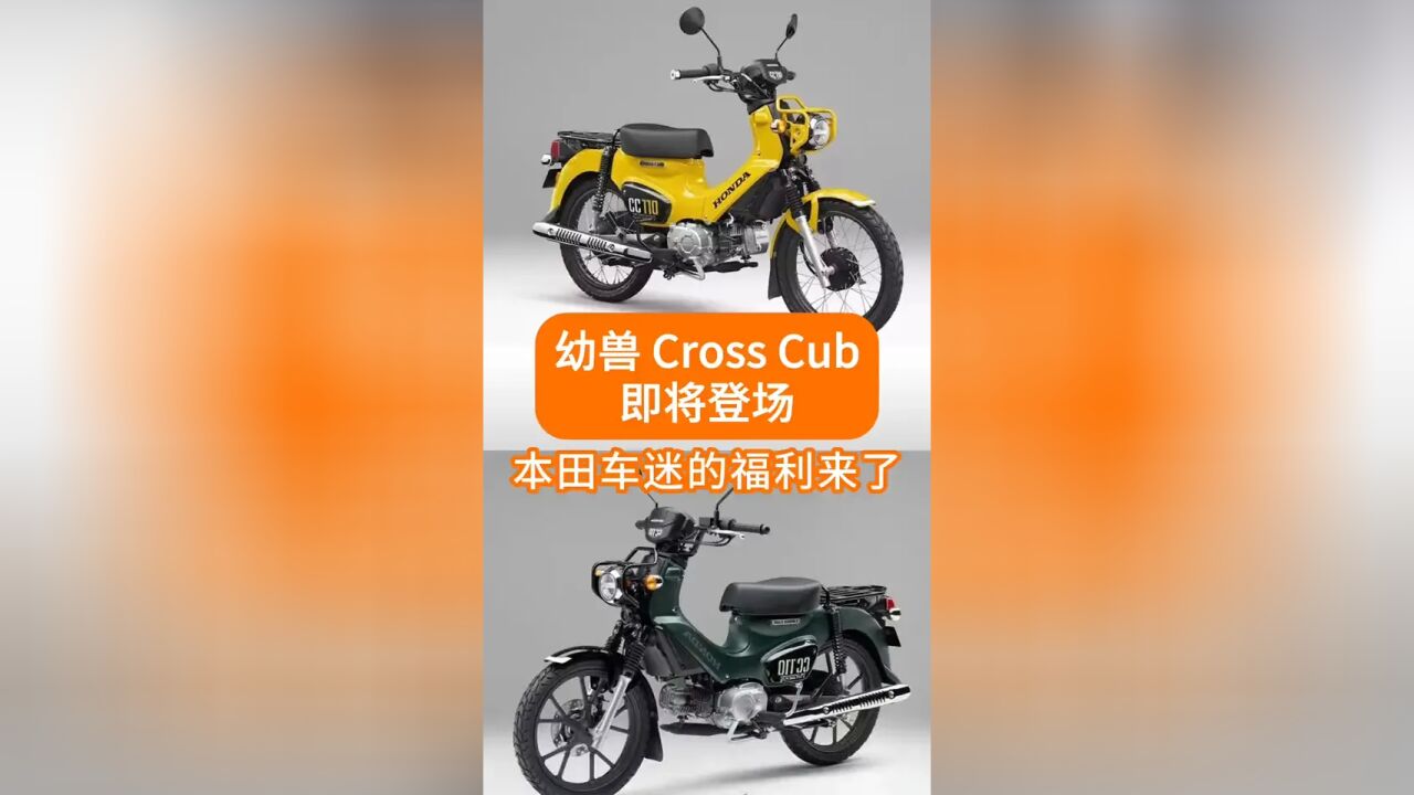 本田幼兽 Cross Cub来啦!16000元,买吗?#摩托车