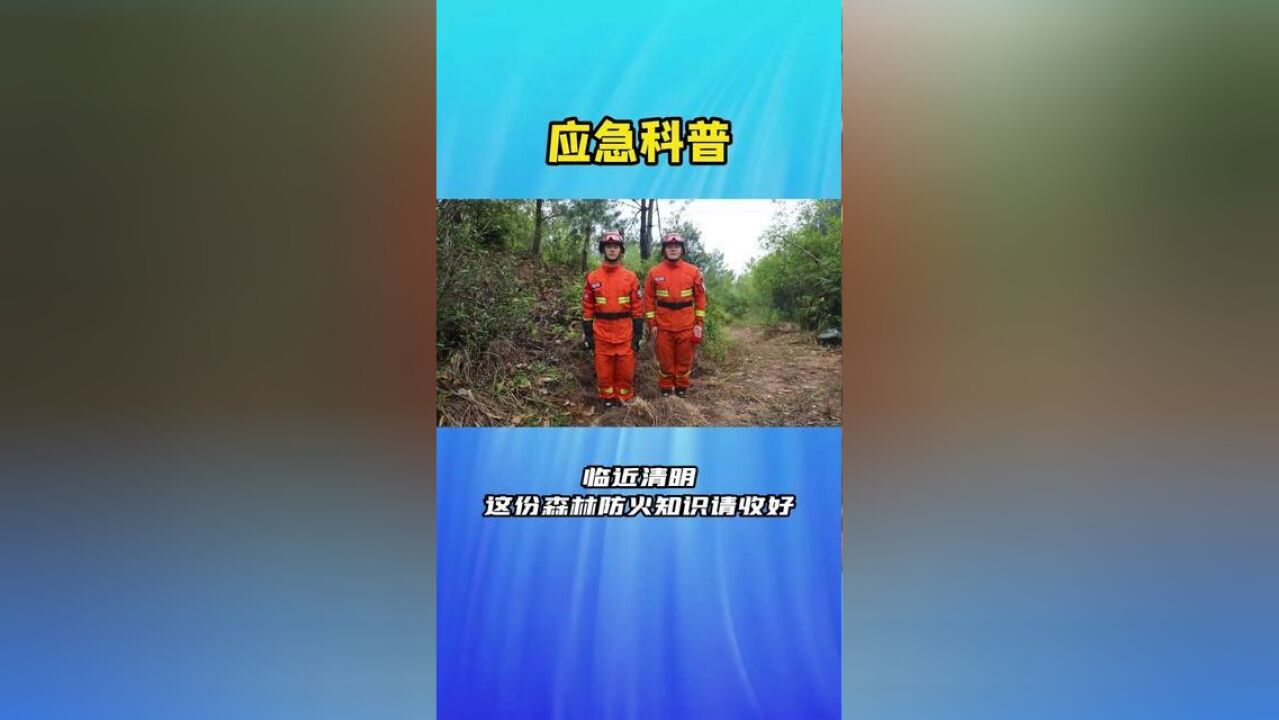 临近清明,这份森林防火知识请收好进入林区,不准在林区山边烧田埂草、烧稻草、烧荒,在林内严禁吸烟