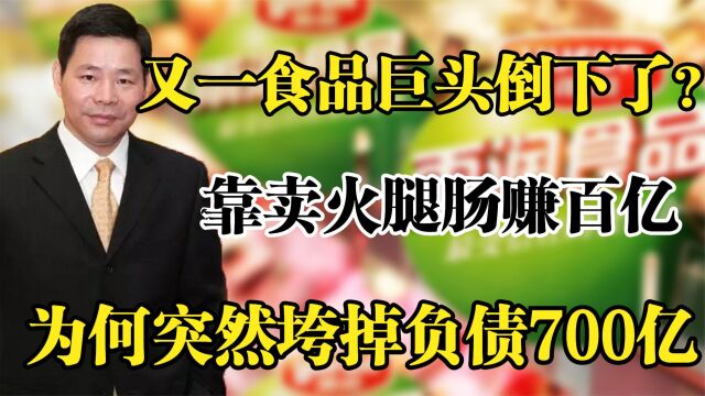 江苏首富祝义财,靠卖火腿肠白手起家,为何突然垮掉负债700亿