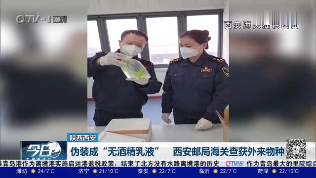 伪装成“无酒精乳液”!西安邮局海关查获外来物种