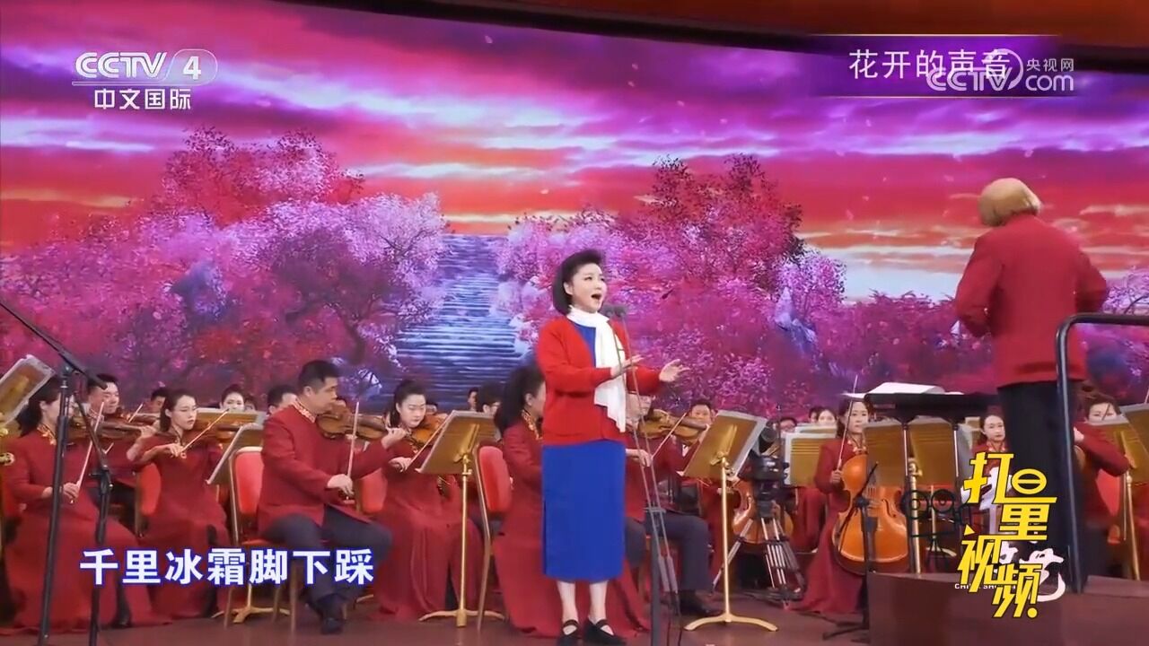 王莉演唱经典歌曲《红梅赞》,歌声嘹亮悦耳,荡气回肠,百听不厌