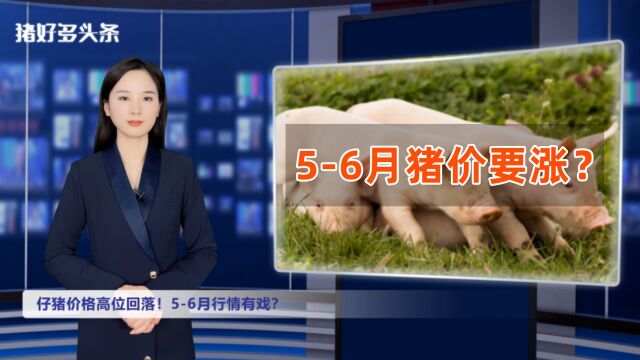 北方局地猪价触底“6元”!仔猪价格高位回落!56月行情有戏?