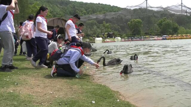 武汉市青山区钢城第一小学2023年春季研学活动