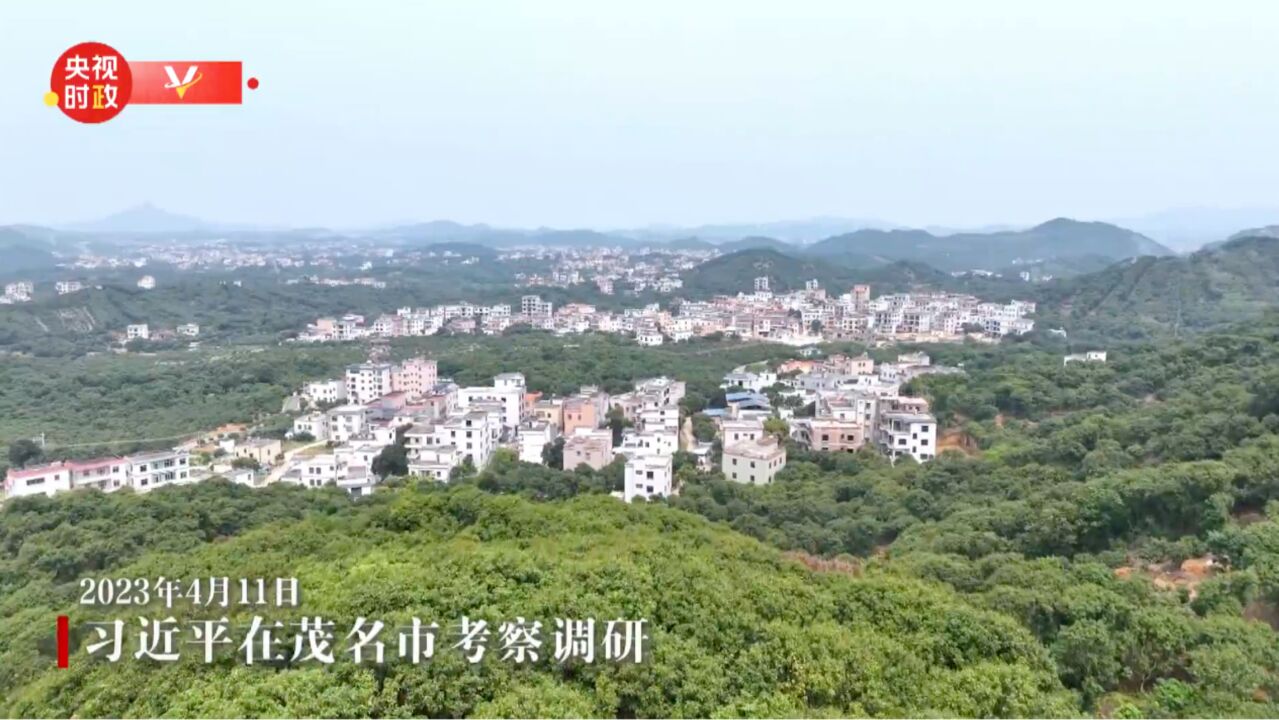 独家视频丨习近平在茂名市考察调研