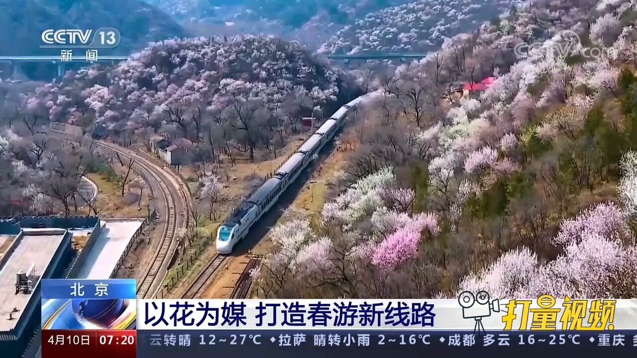 北京:以花为媒,打造春游新线路,促进文旅消费复苏升级