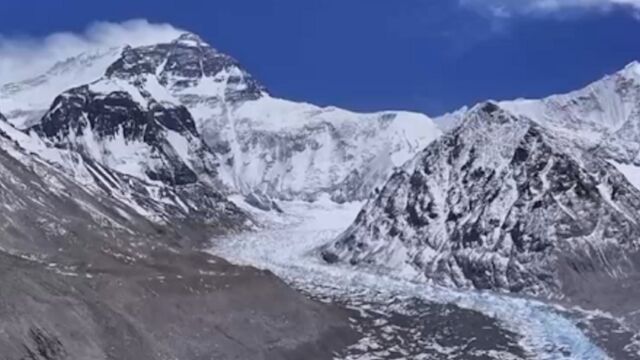 第二次青藏科考,希夏邦马峰再次发现高山栎叶片化石