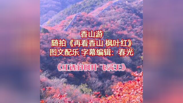 香山游随拍《再看香山 枫叶红》图文配乐 字幕编辑:春光