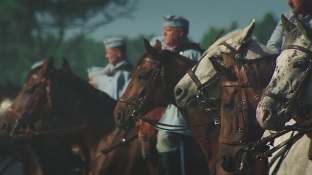 骑兵冲击防守严密的阵线,只能说勇气可嘉