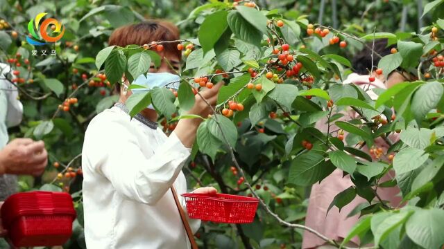 市委全面深化改革委员会举行第17次会议 研究营商环境提升“一号改革工程”相关议题