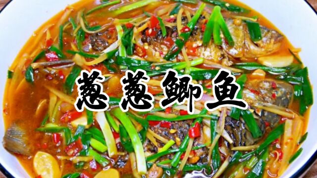 川味江湖菜葱葱鲫鱼,简单美味,鲜嫩下饭,深受年轻人喜爱