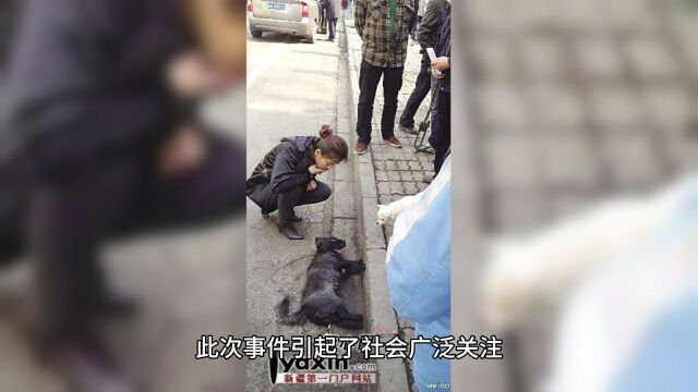 四川崇州绿洲小区内狗咬人事件,无辜2岁女童遭到凶狠突击