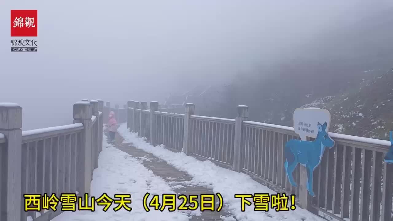 今天西岭雪山下雪了!