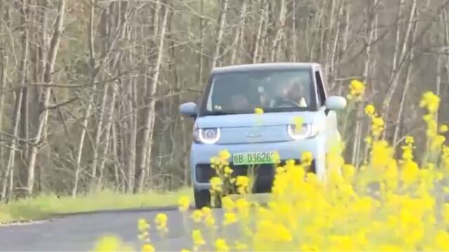 新能源车下乡,撬动农村消费大市场