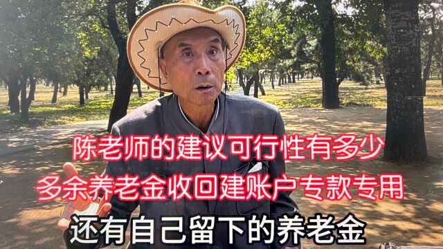 将多余养老金建专用账户可行性有多少?北京陈老师的建议您同意吗