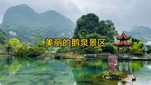 美丽的鹅泉风景区