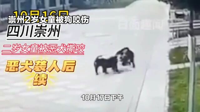 四川崇州恶犬咬2岁女童后续