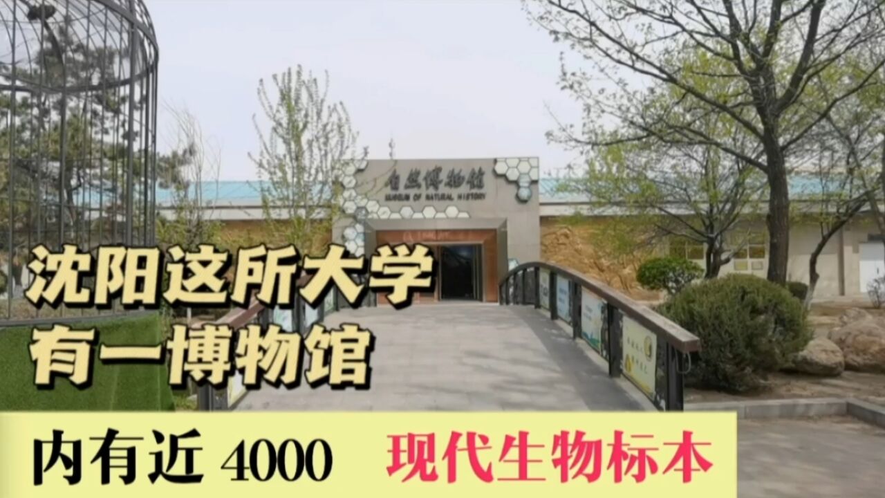 沈阳这所大学,有一博物馆,内有近4000件现代生物标本