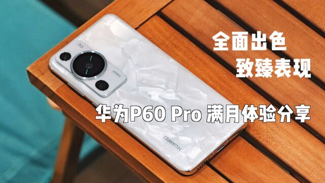 全面出色,致臻表现 华为P60 Pro 满月体验分享