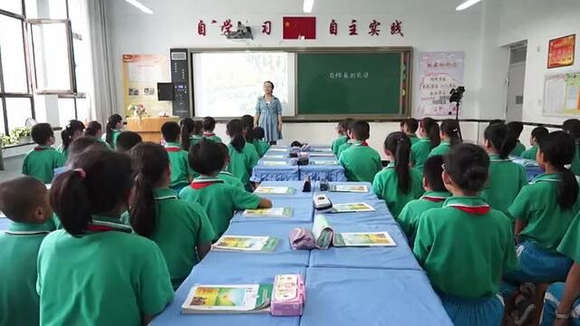 【小语优课】.白桦 教学实录 四下(含教案课件) #白桦