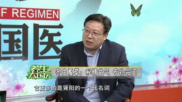 5.3《养生大国医》虫草的功效有哪些?可以改善哪些症状?