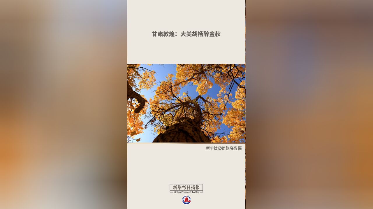 新华每日播报|10月18日