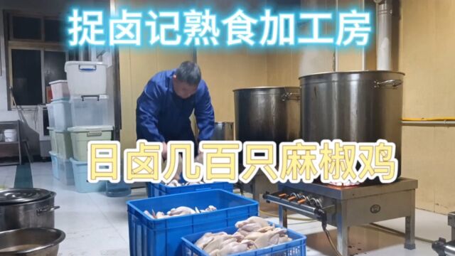 5分钟记录卤肉生产加工制作过程:清洗、腌制、卤制、晾晒、打包