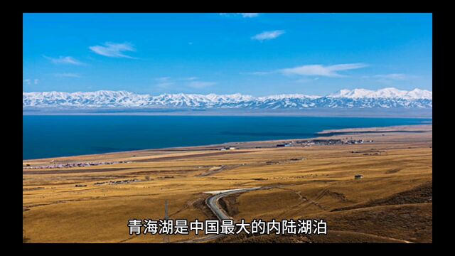 明月出天山,苍茫云海间,长风几万里,吹度玉门关,汉下白登道,胡窥青海湾,由来征战地,不见有人还