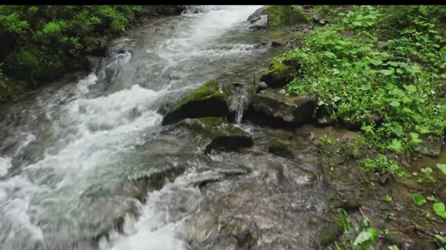 穿越风雨、攀登高峰