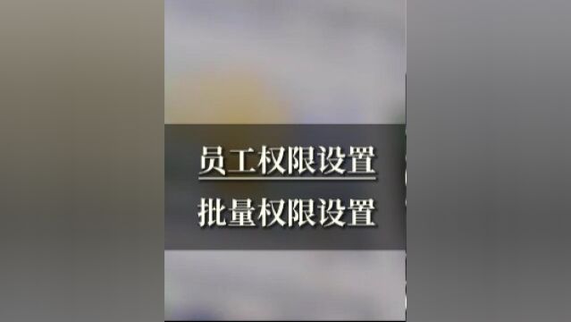 员工权限设置,批量设置员工权限! 采购价,反记账等权限设置##ERP #进销存进销存软件