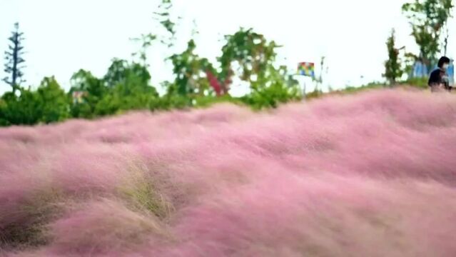 连续5天!已经开始!义乌人来这里免费吃饭!