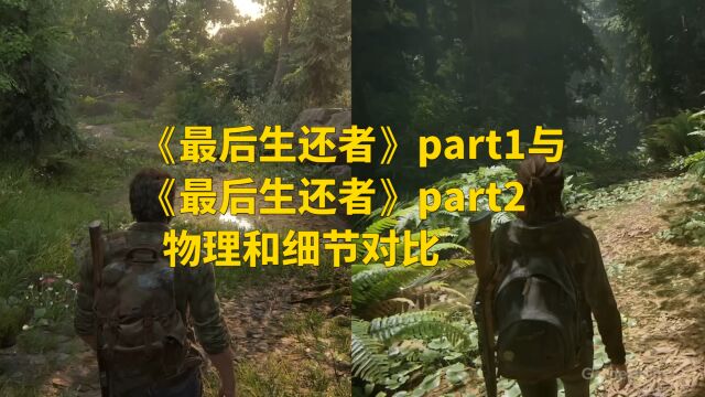 《最后生还者》part1与《最后生还者》part2 物理和细节对比