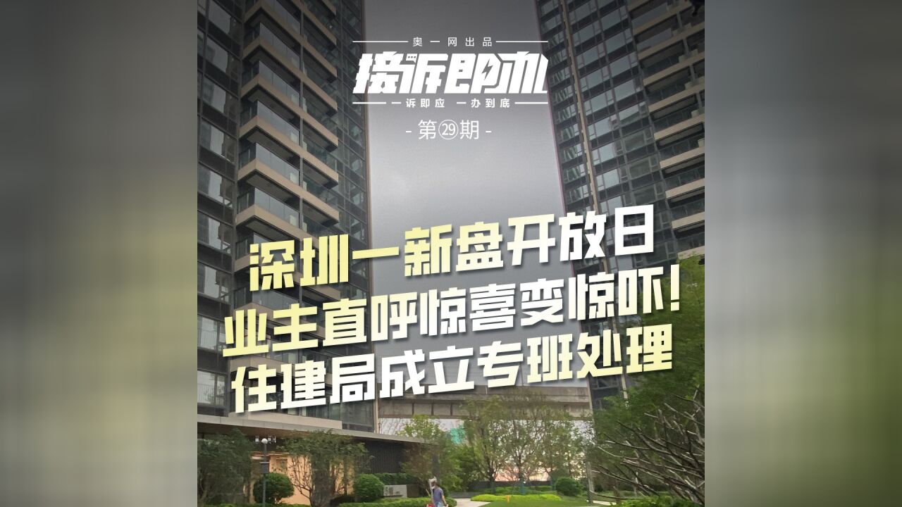 深圳一新盘开放日,业主直呼惊喜变惊吓!住建局成立专班处理