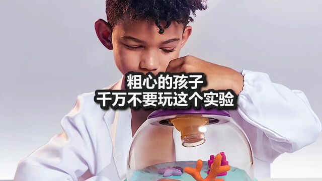 粗心的孩子千万别玩这个