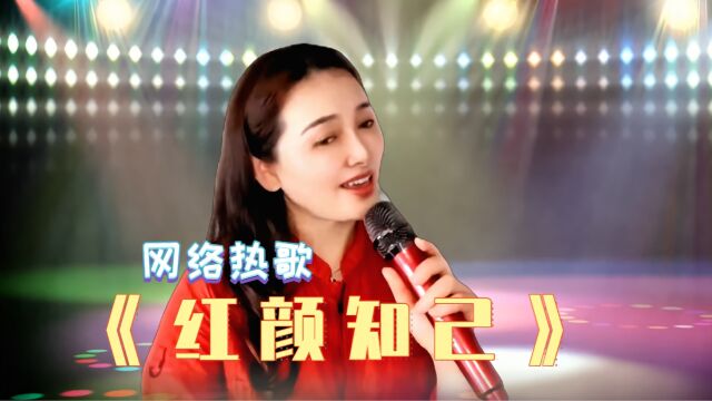 一首网络热歌《红颜知己》女声烟嗓版,伤感好听,唱哭多少痴情人