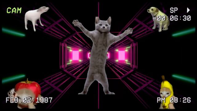 周五party:happy猫缺席