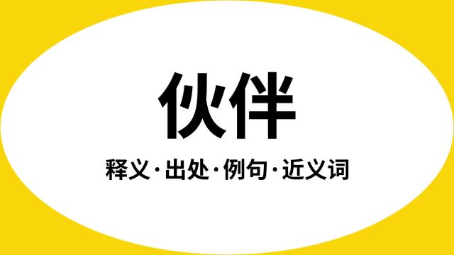 “伙伴”是什么意思?