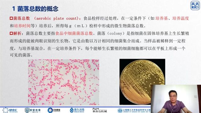 天天食安行GB4789.22022 菌落总数测定、解析菌落总数的概念