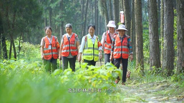 甜城先锋20239《巡山日志》