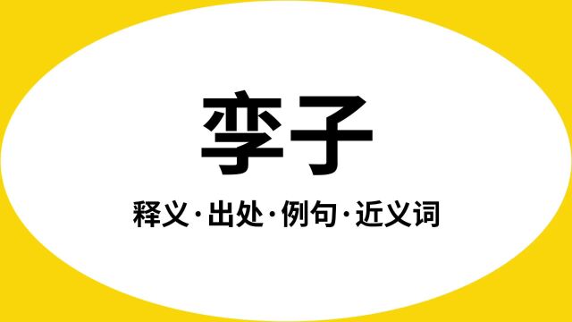 “孪子”是什么意思?