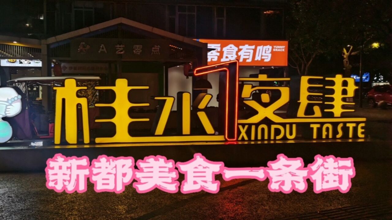 成都桂水路美食一条街,小龙虾、冷淡杯、自贡菜,吃得忘了拍照了