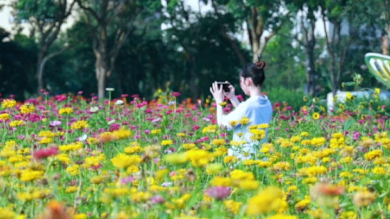 寻找湛江初夏的浪漫,城市秘境花园以花为笔送你一场夏之绮梦