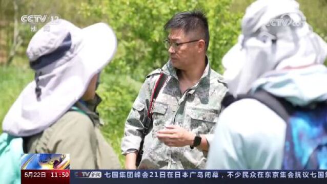 今天是第23个国际生物多样性日 探索栖息地保护 为“安吉小鲵”打造新家园