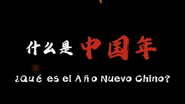 “讲好中国故事”对外传播短视频制作大赛一等奖《印象中国年》